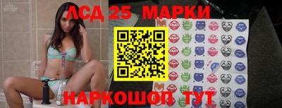 apvp Бердск