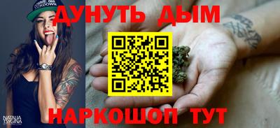 apvp Бердск