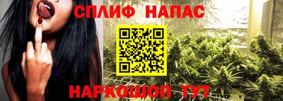 apvp Бердск
