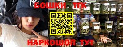 apvp Бердск
