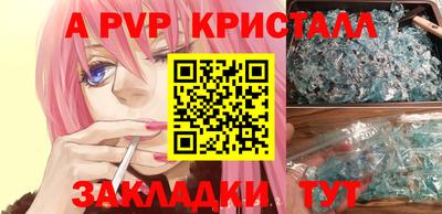 apvp Бердск